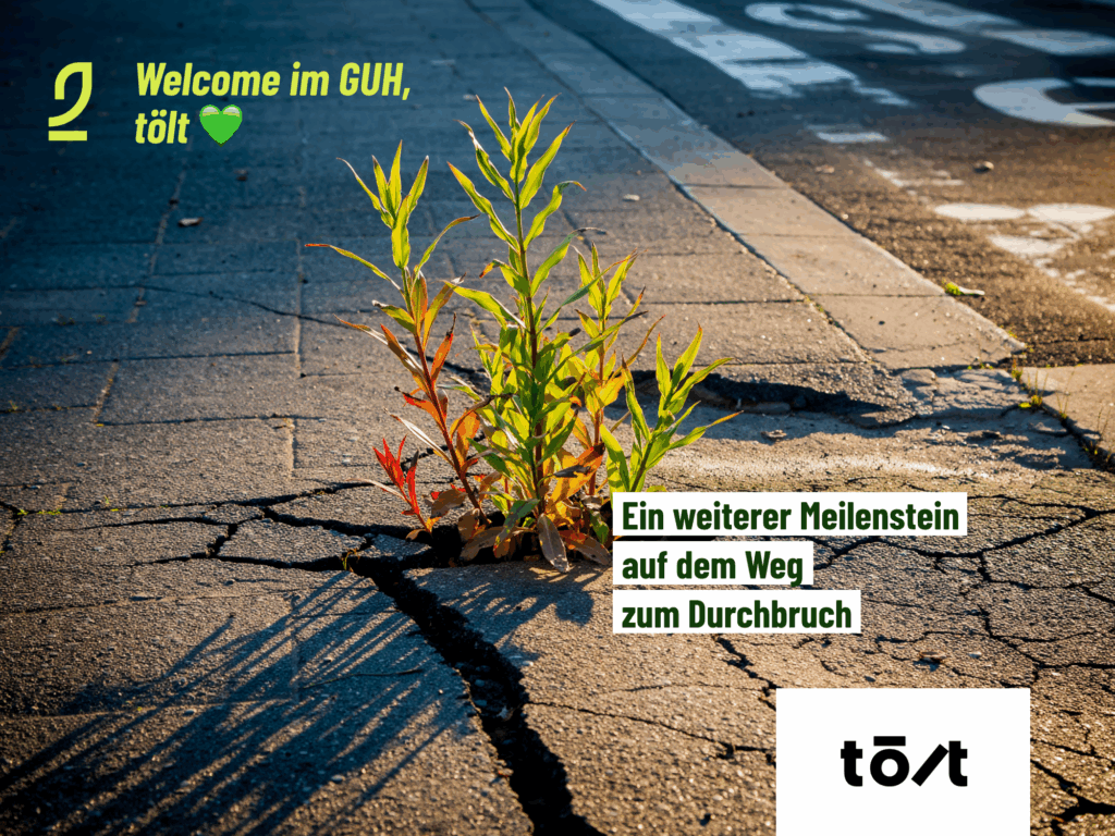 Zu sehen ist eine asphaltierte Straße. Eine Blume durchbricht den Asphalt. Botschaft: Ein weiterer Meilenstein auf dem Weg zum Durchbruch. Zweck: Willkommenspost für das neue Mitglied tölt