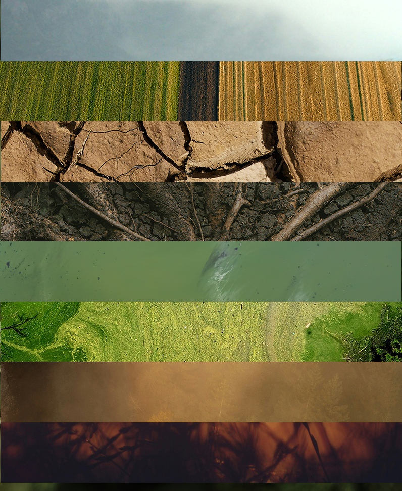 Gesammelte Ausschnitte aus allen Bildern, die zu den Wirkungskategorien auf dieser Seite veröffentlicht sind