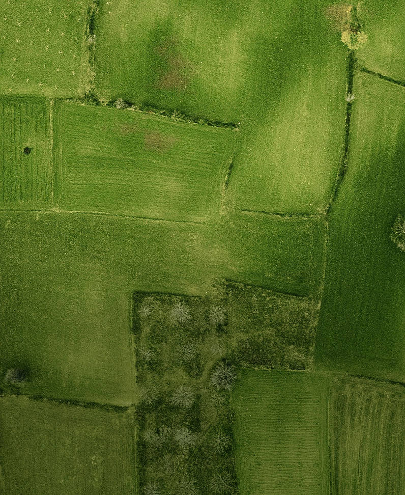Fotografie Landschaft von oben