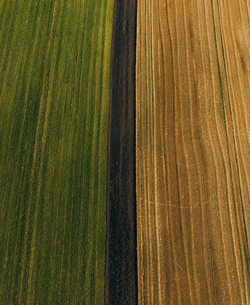Fotografie: Landwirtschaftliche Flächen als Bild für die Umweltwirkungskategorie "Landnutzung"