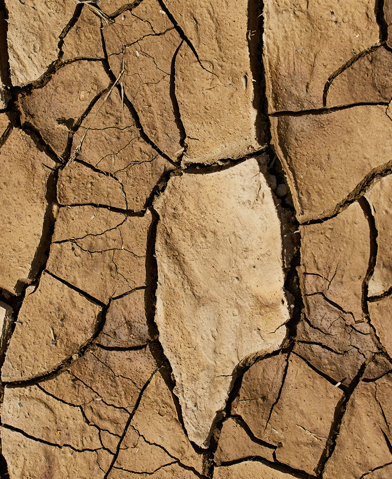 Fotografie: Vertrocknete Erde als Symbol für die Wirkungskategorie "Wassernutzung"