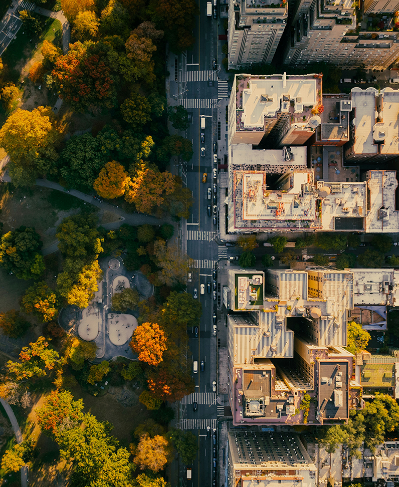 Fotografie Großstadt mit Park