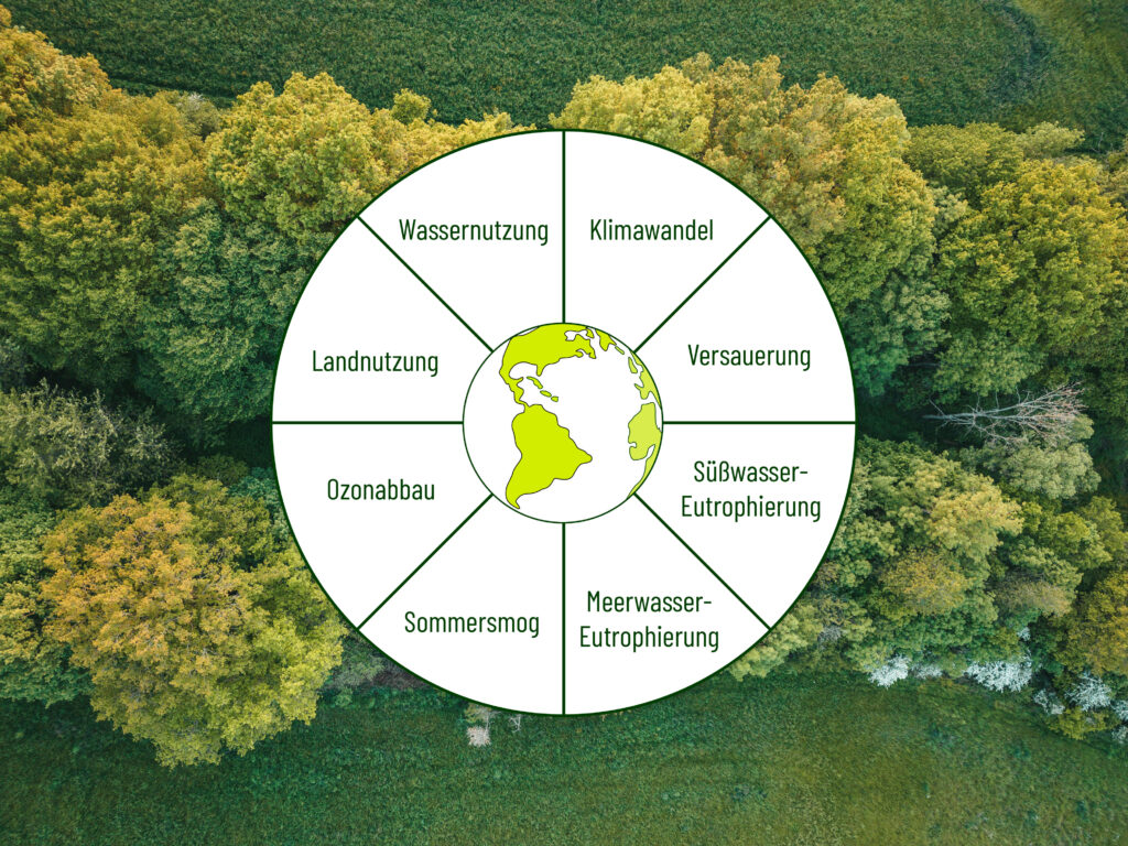 Die Grafik zeigt, alle Wirkungskategorien, die für die Berechnung der Umweltkosten analysiert werden