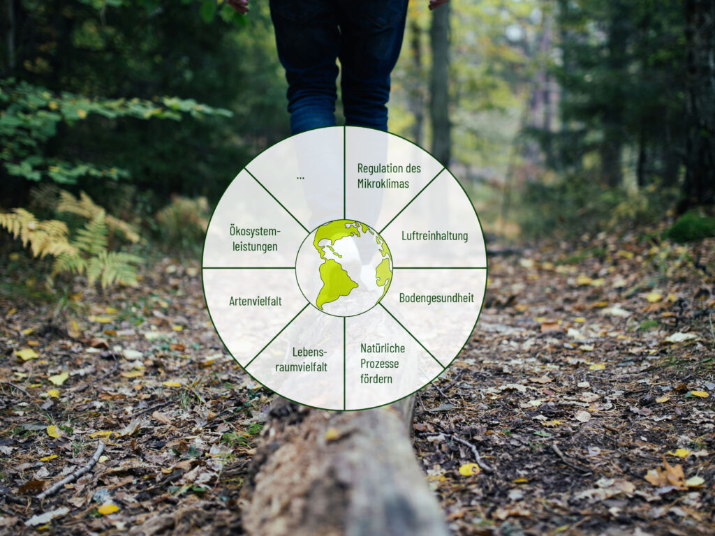 Grafik Aspekte der ökologischen Aufwertung