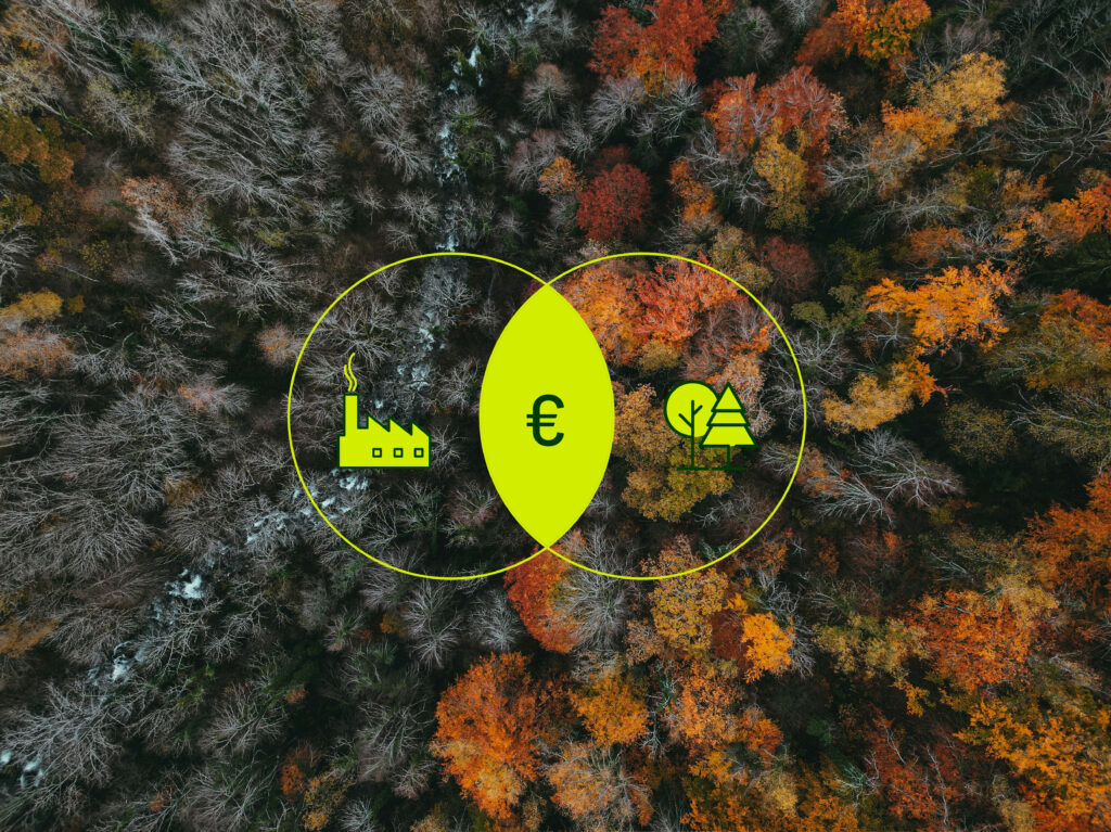 Bild zeigt zur Hälfte einen beschädigten und zur anderen Hälfte einen gesunden Wald und steht symbolisch für das Zusammenbringen von Umweltschäden und Wiedergutmachungsleistung