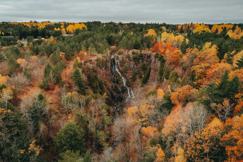 Fotografie: Waldlandschaft im Herbst, mit Wasserfall