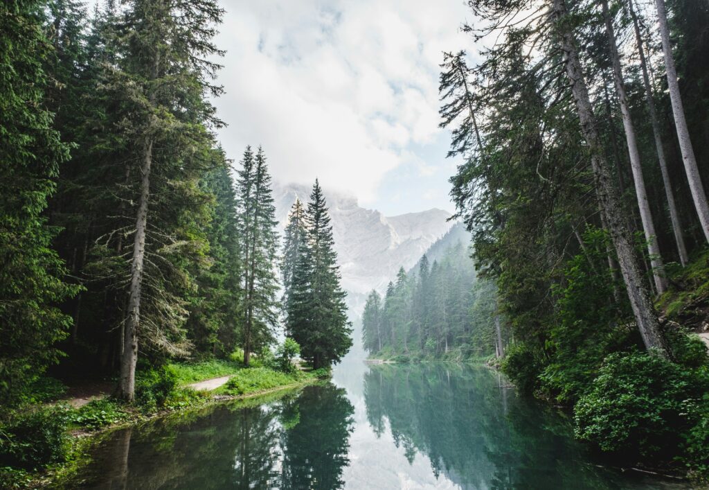 Landschaftsaufnahme: Ein Fluss fließt durch einen Wald. Im Hintergrund Bergpanorama