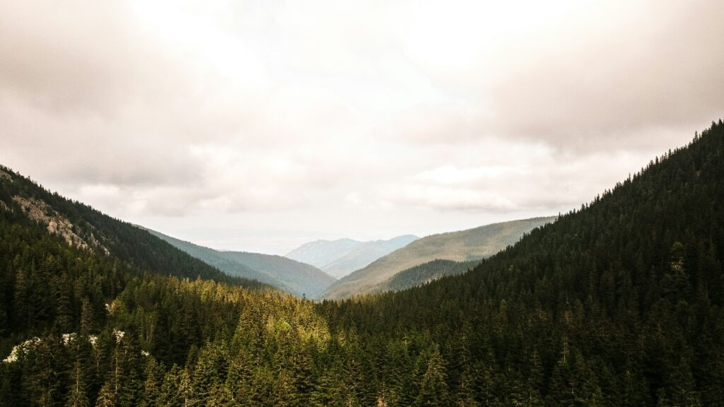 Fotografie: Weitwinkelaufnahme eines wunderschönen bergigen Waldgebietes